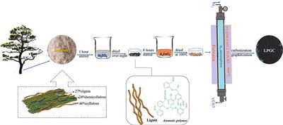 Synthesis of Porous Biochar Containing Graphitic Carbon Derived From Lignin Content of Forestry Biomass and Its Application for the Removal of Diclofenac Sodium From Aqueous Solution